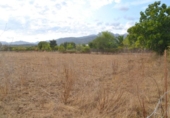 Detached villa with land for sale on España, Campanet, ref: TR304196 photo