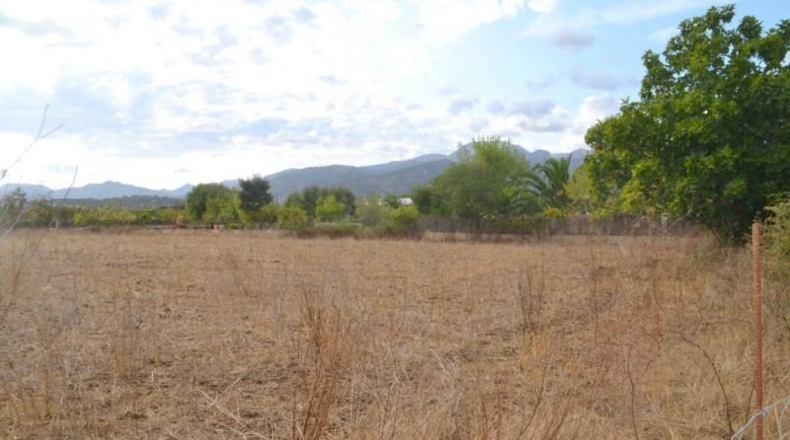 Islas Baleares - Campanet - 4316m2