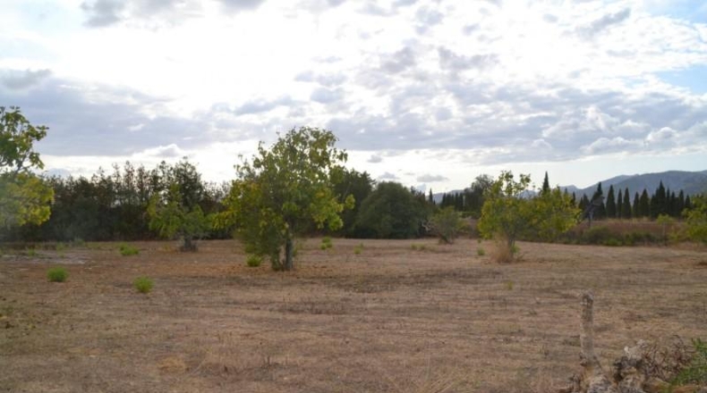 Islas Baleares - Campanet - 4316m2