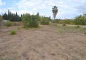 Detached villa with land for sale on España, Campanet, ref: TR304196 photo