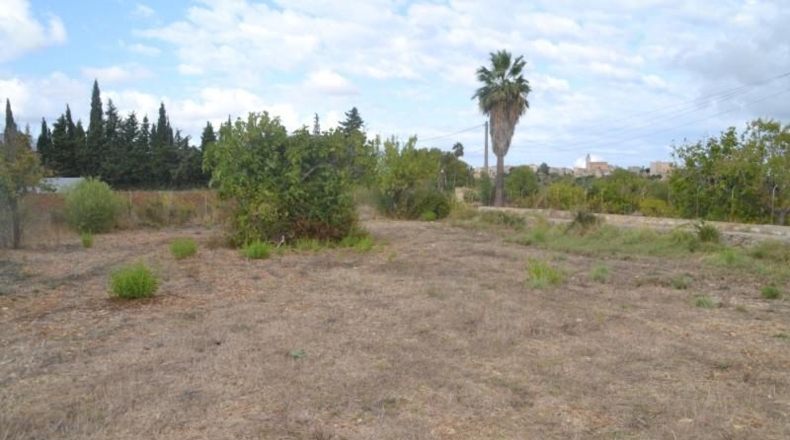 Islas Baleares - Campanet - 4316m2