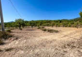 Terreny no urbanitzable en venda a la España, Castalla, ref.: TR115500 foto