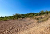 Terreny no urbanitzable en venda a la España, Castalla, ref.: TR115500 foto