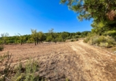 Terreny no urbanitzable en venda a la España, Castalla, ref.: TR115500 foto