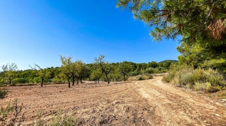 Alicante - Castalla - 52809m2