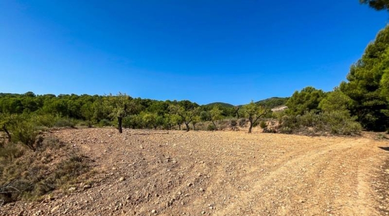 Alicante - Castalla - 52809m2