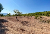 Terreny no urbanitzable en venda a la España, Castalla, ref.: TR115500 foto