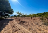 Terreny no urbanitzable en venda a la España, Castalla, ref.: TR115500 foto