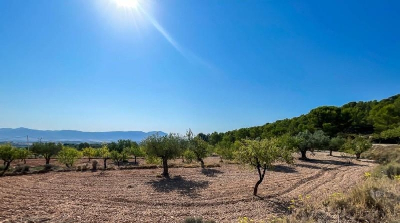 Alicante - Castalla - 52809m2