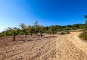 Terreny no urbanitzable en venda a la España, Castalla, ref.: TR115500 foto
