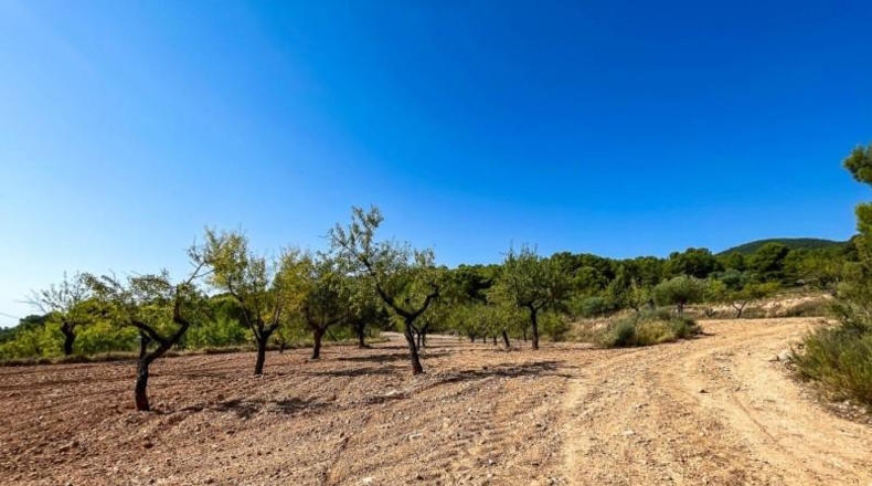 Alicante - Castalla - 52809m2