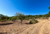 Terreny no urbanitzable en venda a la España, Castalla, ref.: TR115500 foto
