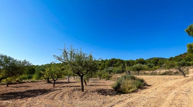 Alicante - Castalla - 52809m2