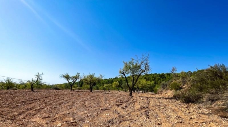 Alicante - Castalla - 52809m2