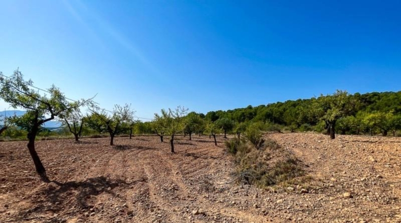 Alicante - Castalla - 52809m2
