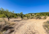 Terreny no urbanitzable en venda a la España, Castalla, ref.: TR115500 foto