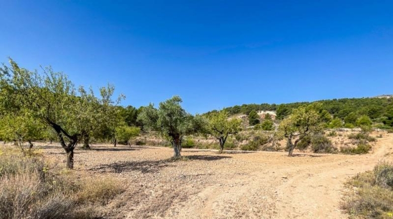 Alicante - Castalla - 52809m2