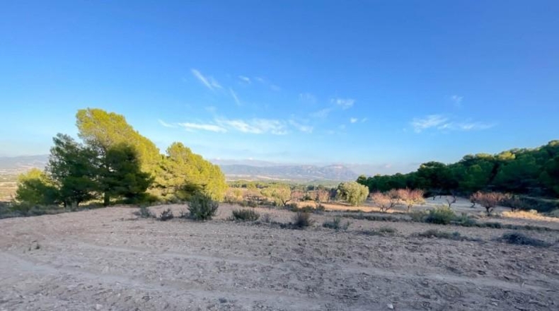 Alicante - Castalla - 52809m2