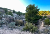 Terreny no urbanitzable en venda a la España, Castalla, ref.: TR115500 foto