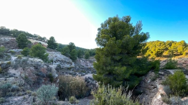 Alicante - Castalla - 52809m2