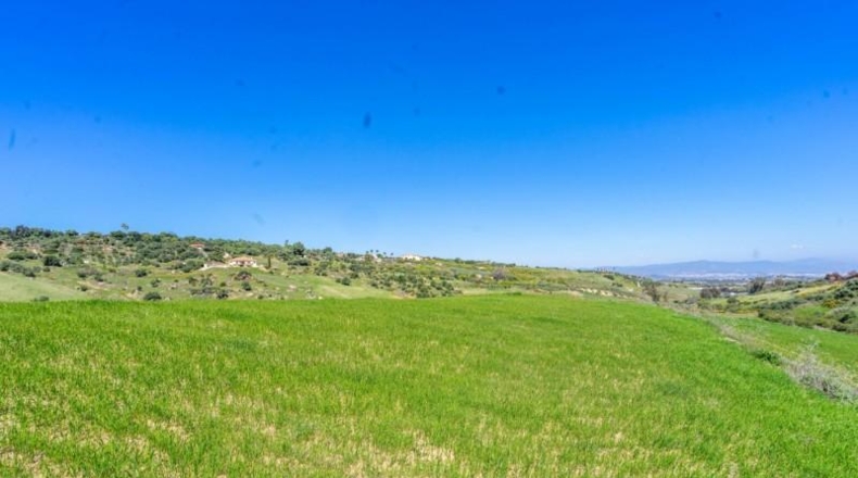 Málaga - Alhaurín de la Torre - 6500m2