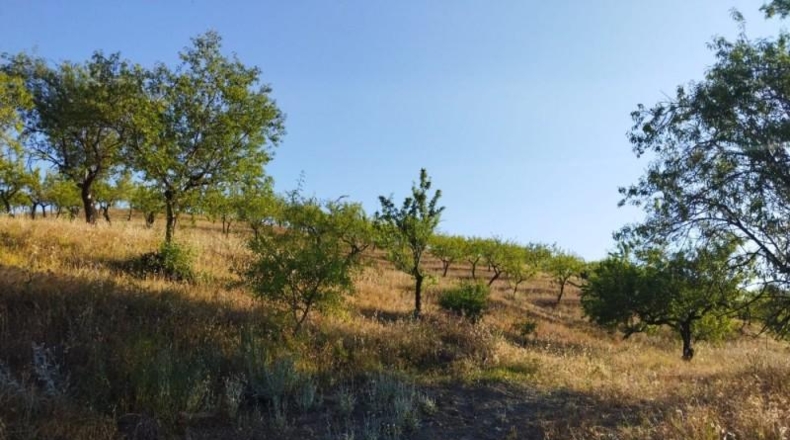 Murcia - Пуэрто Лумбрерас - 180000m2
