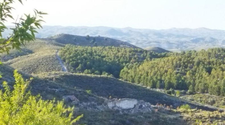 Murcia - Пуэрто Лумбрерас - 180000m2