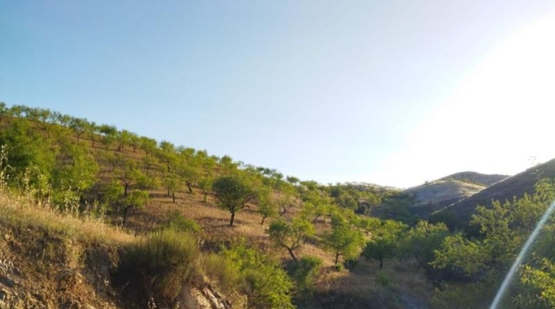 Murcia - Пуэрто Лумбрерас - 180000m2