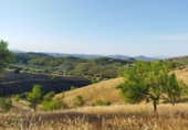 Casa de camp amb terreny en venda a la España, Puerto Lumbreras, ref.: TR322595 foto
