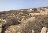 Terreny no urbanitzable en venda a la España, Güímar, ref.: TR116226 foto