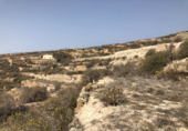Terreny no urbanitzable en venda a la España, Güímar, ref.: TR116226 foto