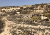 Terreny no urbanitzable en venda a la España, Güímar, ref.: TR116226 foto