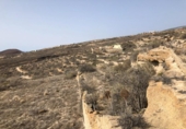 Terreny no urbanitzable en venda a la España, Güímar, ref.: TR116226 foto