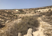 Terreny no urbanitzable en venda a la España, Güímar, ref.: TR116226 foto
