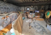 Chalet independiente con terreno en venta en la España, Villar de Plasencia, ref: TR303644 foto