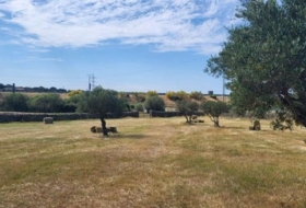 Foto 15