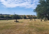 Chalet independiente con terreno en venta en la España, Villar de Plasencia, ref: TR303644 foto