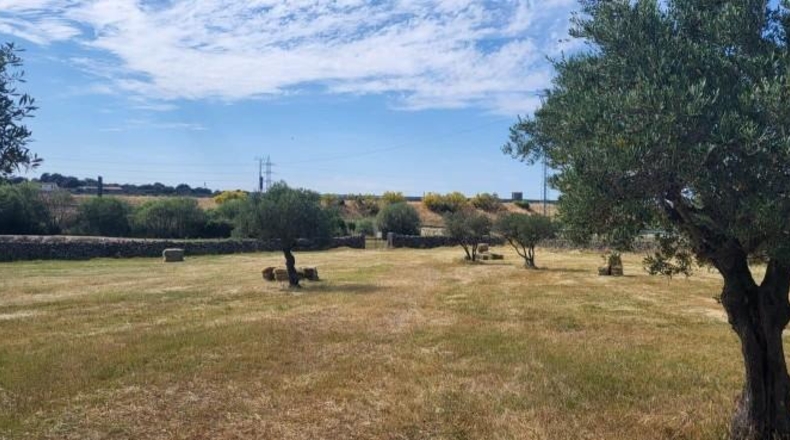 Cáceres - Villar de Plasencia - 8238m2