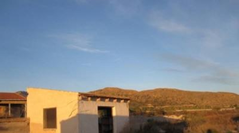 Alicante - Novelda - 10000m2