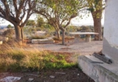 Casa de camp amb terreny en venda a la España, Novelda, ref.: TR297711 foto