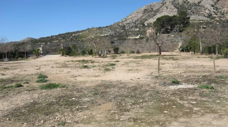 Alicante - Novelda - 12000m2