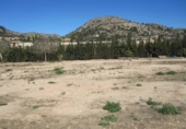 Land suitable for development for sale on España, Monforte del Cid, ref: TR122098 photo