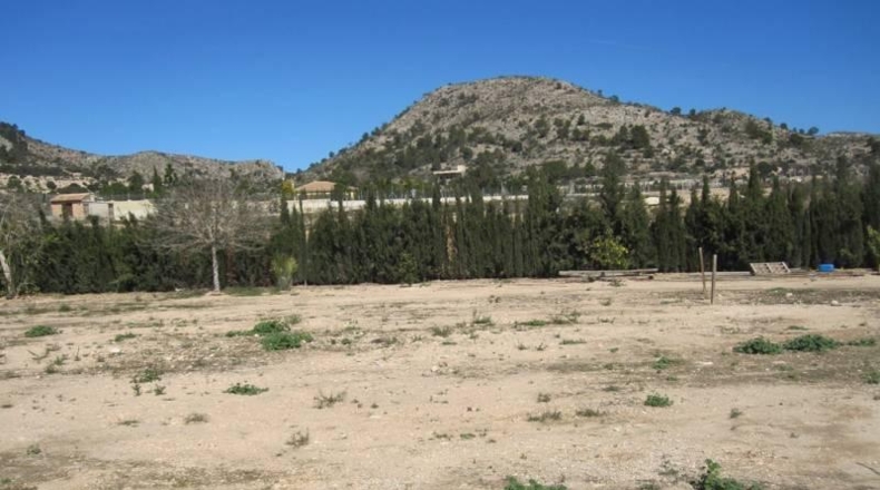 Alicante - Novelda - 12000m2