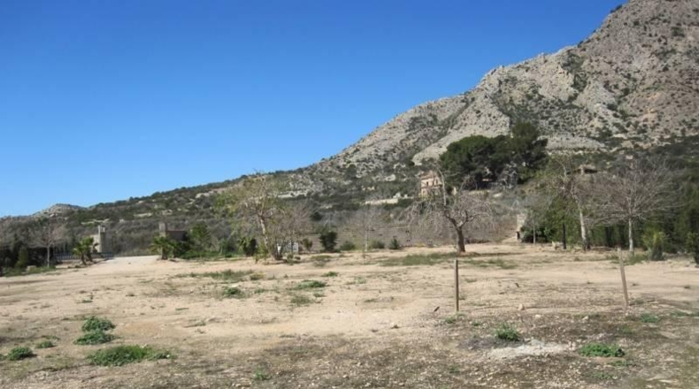 Alicante - Novelda - 12000m2