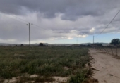 Terreny no urbanitzable en venda a la España, Novelda, ref.: TR122132 foto