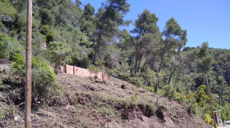 Comunidad de Madrid - Valdetorres de Jarama - 950m2