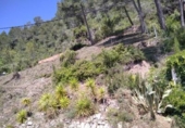 Sòl urbà en venda a la España, Vallbona d'Anoia, ref.: TR122197 foto