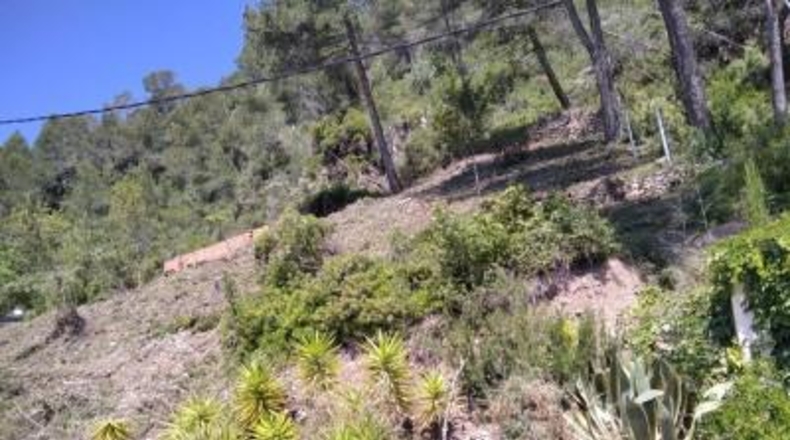 Comunidad de Madrid - Valdetorres de Jarama - 950m2