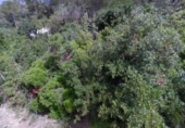 Sòl urbà en venda a la España, Vallbona d'Anoia, ref.: TR122197 foto
