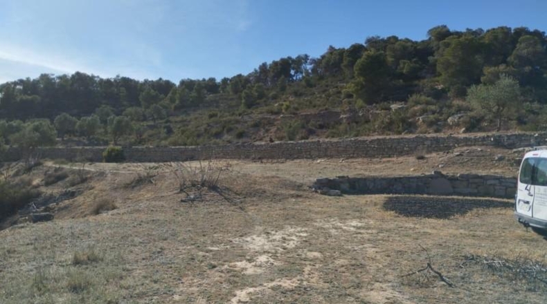 Tarragona - Vilalba dels Arcs - 81994m2
